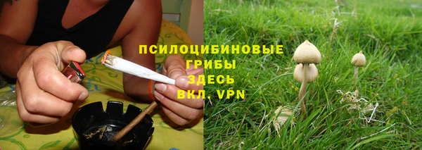 гидропоника Алзамай