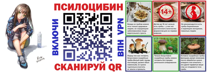 где найти   Лиски  Галлюциногенные грибы MAGIC MUSHROOMS 